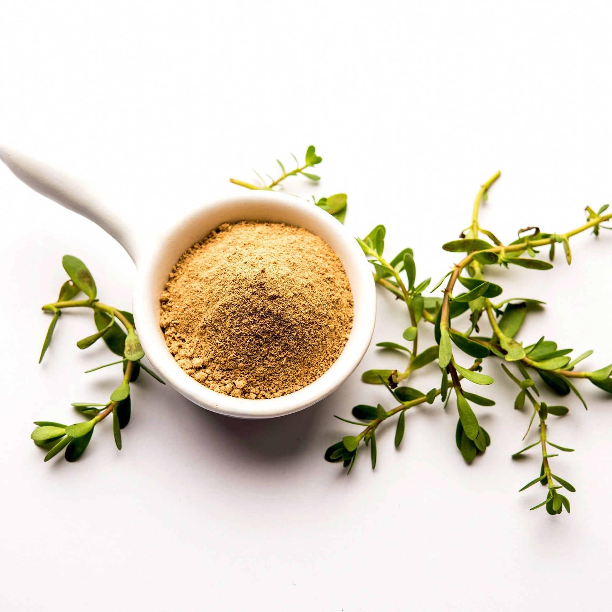 Bacopa Powder — Calm, Clarity, Cooling Herbal Intelligence